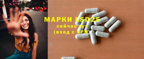 шишки Аркадак