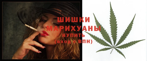 шишки Аркадак