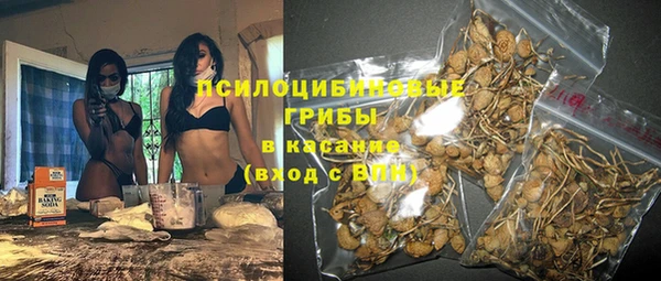 шишки Аркадак