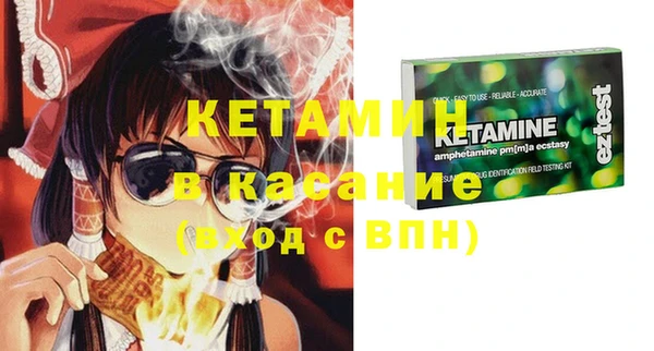 шишки Аркадак