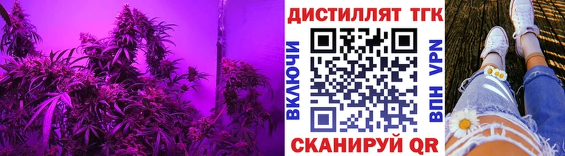 как найти наркотики  Долгопрудный  ТГК вейп 