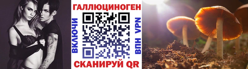 omg ссылки  Долгопрудный  Псилоцибиновые грибы ЛСД  где продают наркотики 